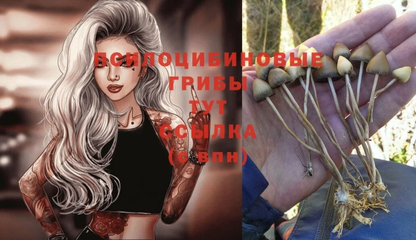 прущие грибы Алексин