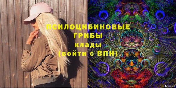 прущие грибы Алексин