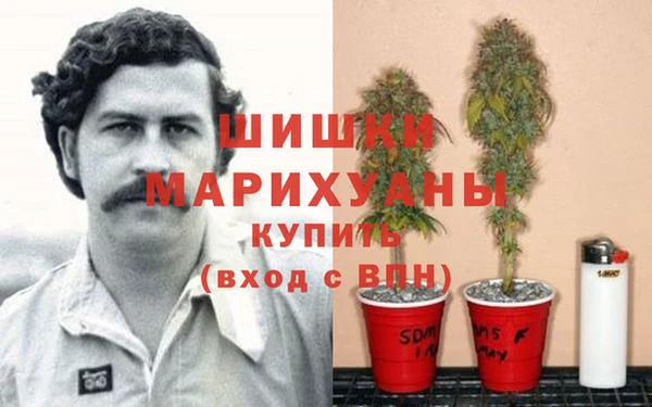 крисы Алзамай