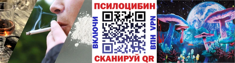 Псилоцибиновые грибы Psilocybe  наркота  Сосновый Бор 